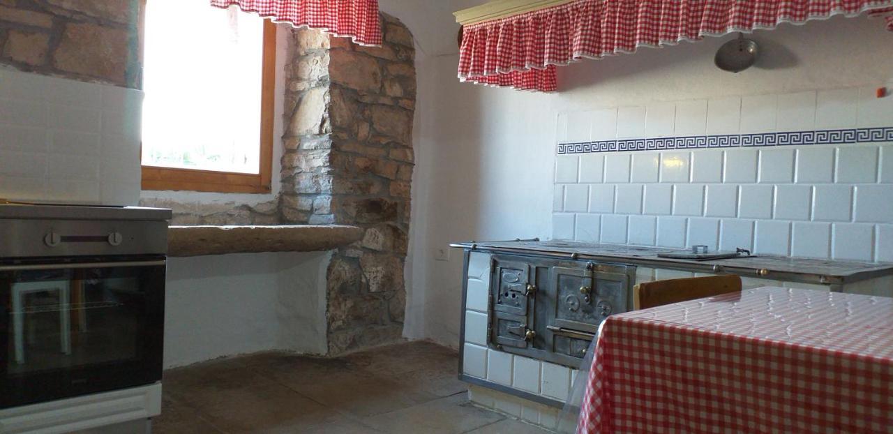 Rural Apartment Carolina Zrenj 外观 照片