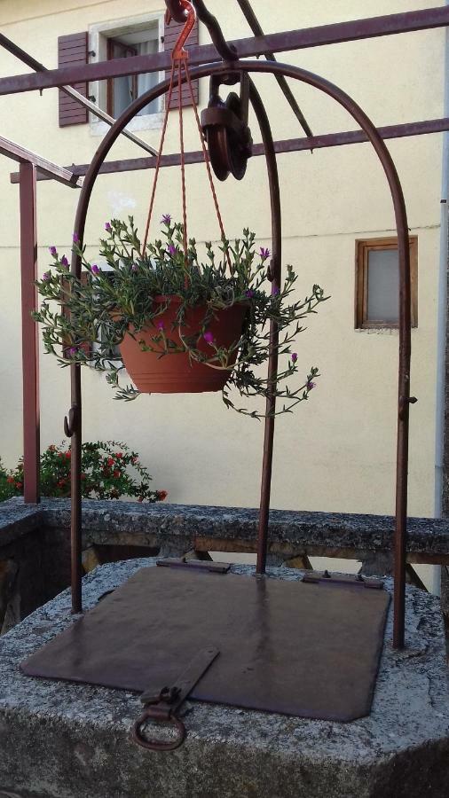 Rural Apartment Carolina Zrenj 外观 照片