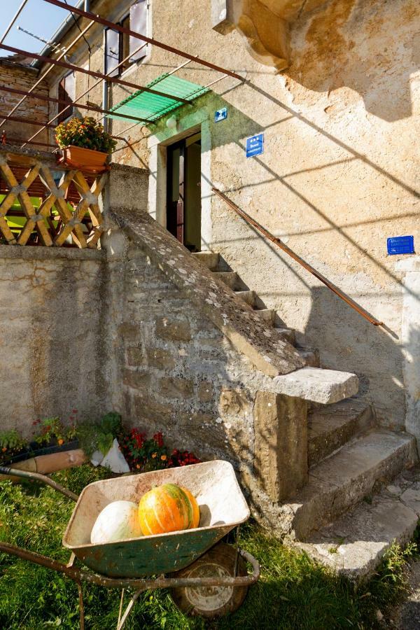 Rural Apartment Carolina Zrenj 外观 照片