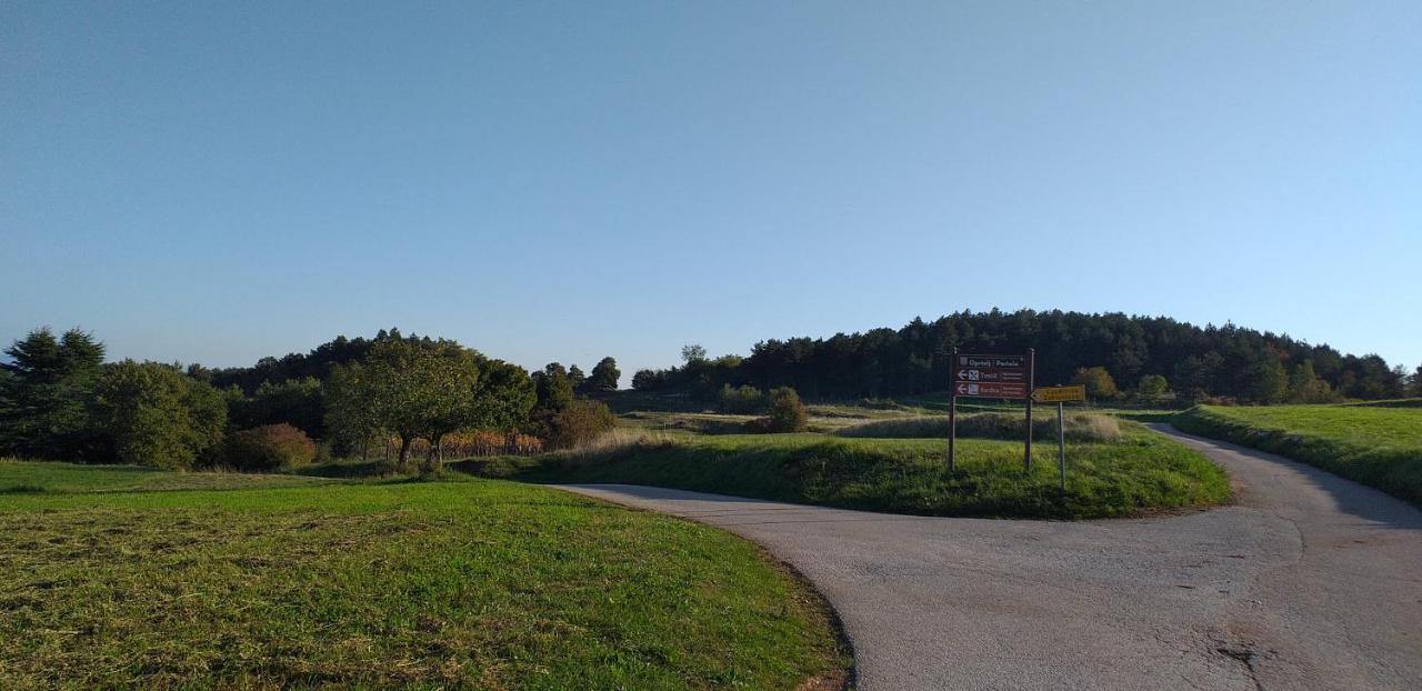 Rural Apartment Carolina Zrenj 外观 照片