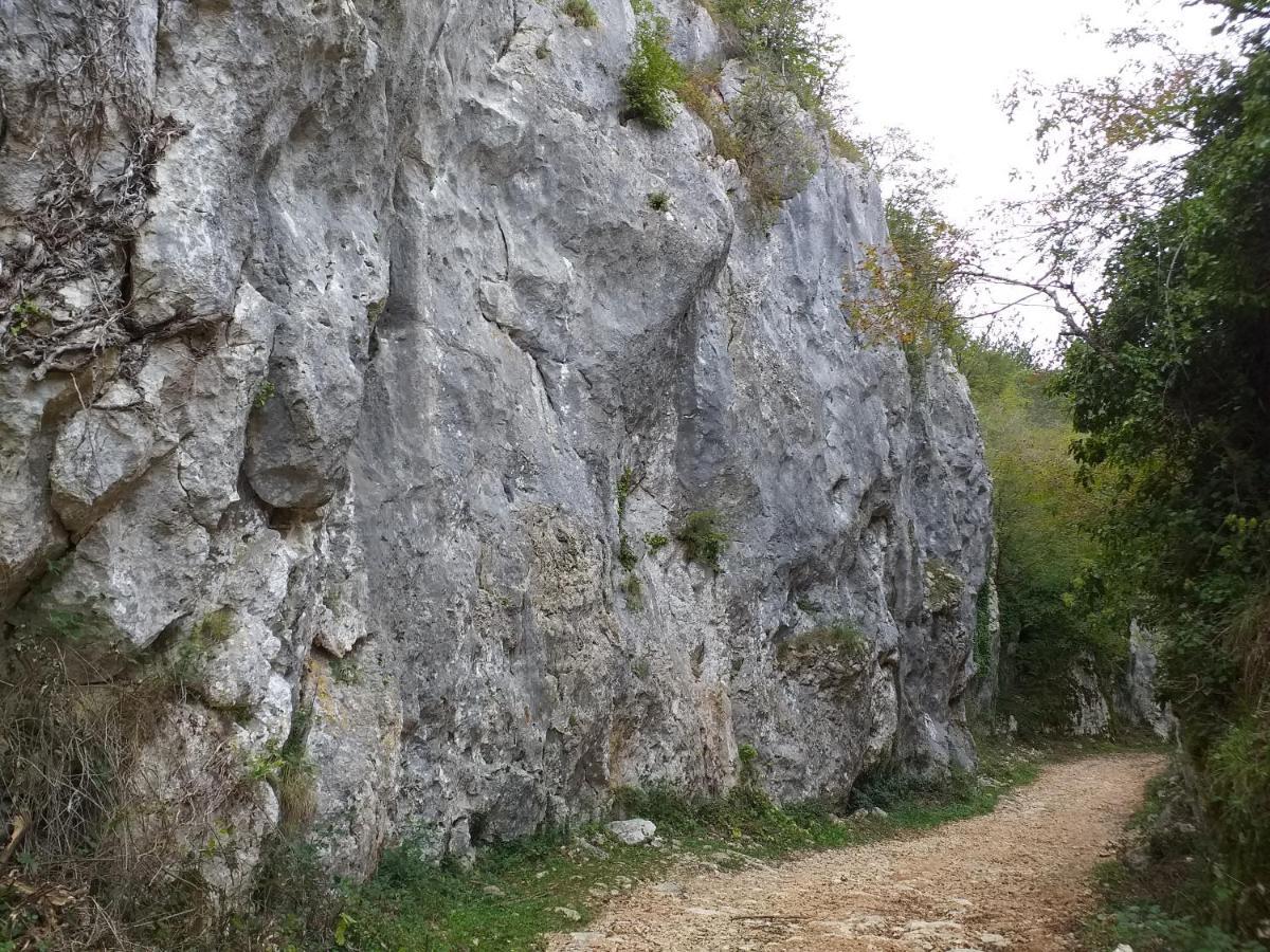 Rural Apartment Carolina Zrenj 外观 照片